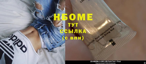 шишки Белокуриха