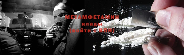 шишки Белокуриха