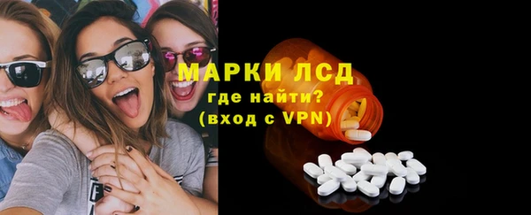 шишки Белокуриха