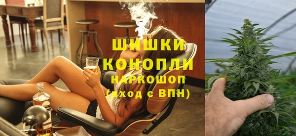 mix Богородицк