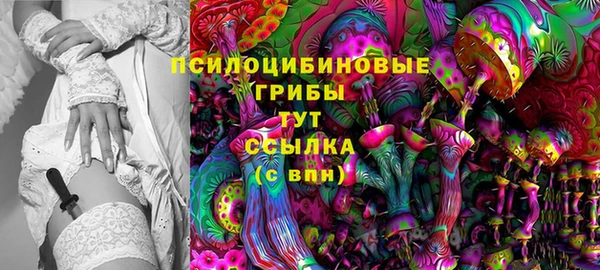 шишки Белокуриха