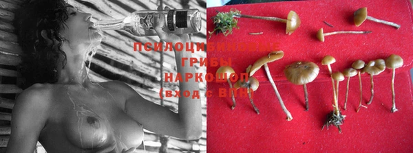 марки lsd Богданович