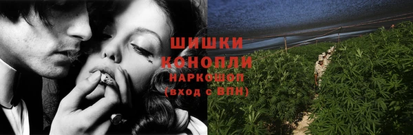 шишки Белокуриха