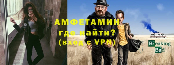 шишки Белокуриха