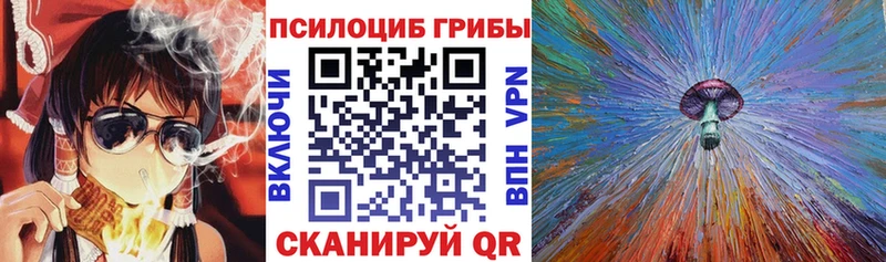 цены   Городец  Псилоцибиновые грибы Cubensis 