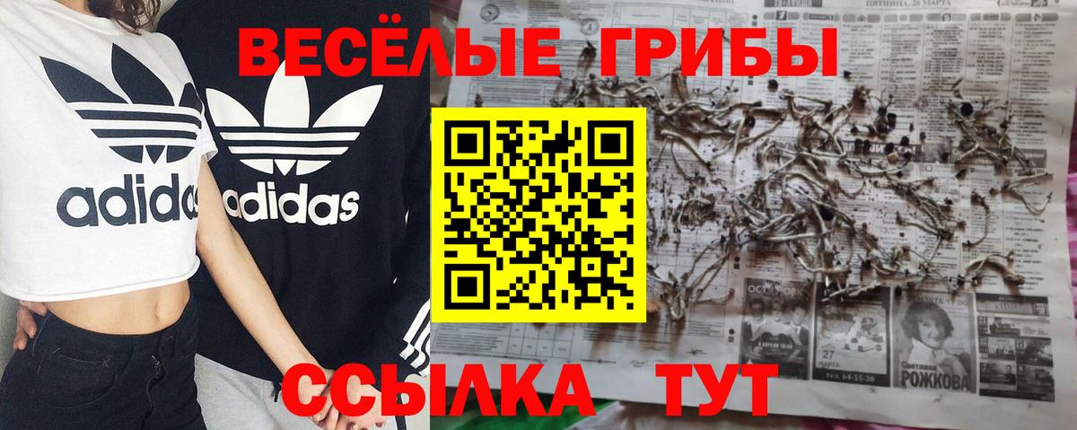Городец  Галлюциногенные грибы Cubensis  Вход с VPN  Псилоцибиновые грибы прущие грибы 